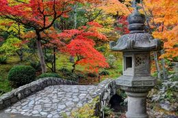 Japanese garden